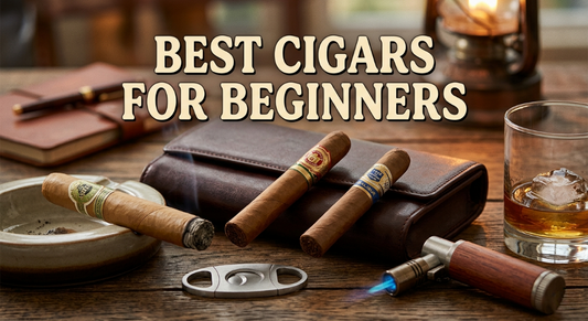 What is the best cigar for beginners? Jay's Cigar Shop