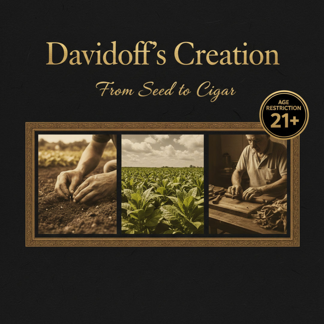 Davidoff’s Creation - From Seed to Cigar