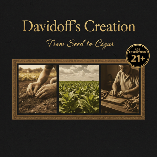 Davidoff’s Creation - From Seed to Cigar